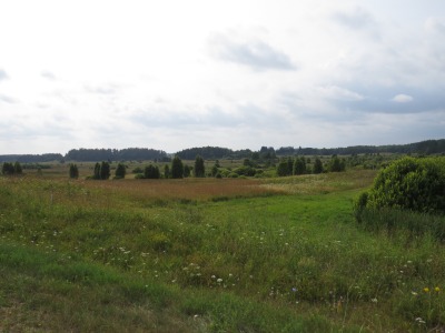 158IMG_1342