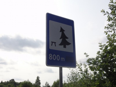 167DSC02693