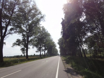175DSC02734