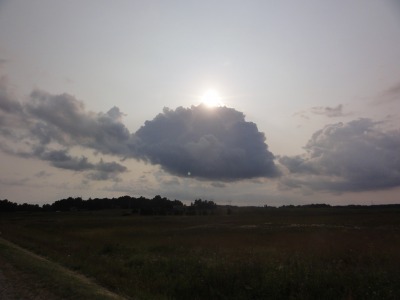 181DSC02697