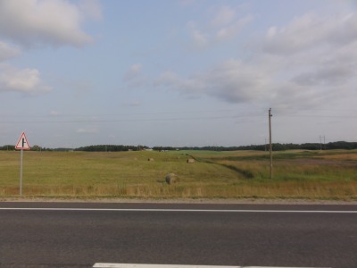 182DSC02699
