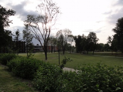 206DSC02702