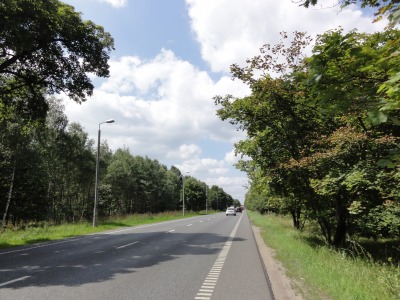 019DSC02797