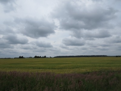 032