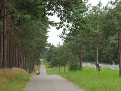033IMG_2428