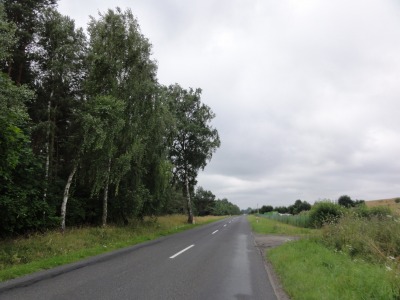 035DSC02802