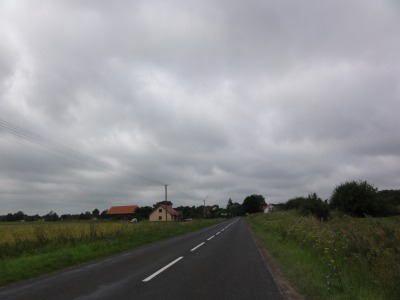 036DSC02803