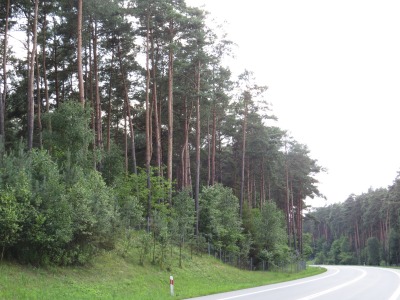 044IMG_2288