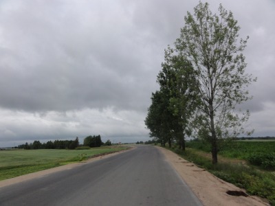045DSC02770