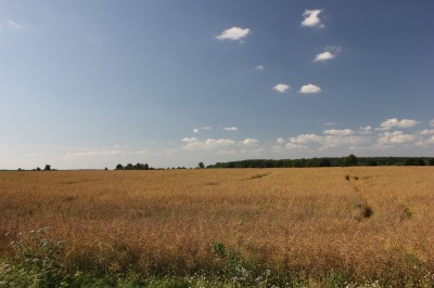 050IMG_1623