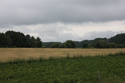 060IMG_1387
