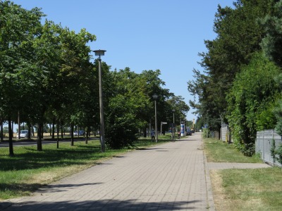 064IMG_2620