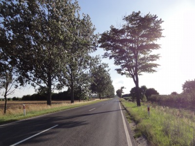 068DSC02801