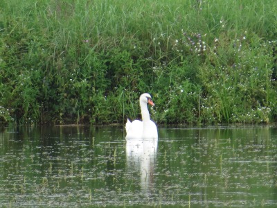 115IMG_1833