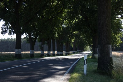 133IMG_1814
