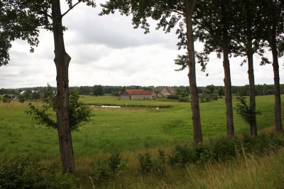 135IMG_1418