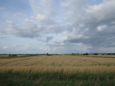 139IMG_2493