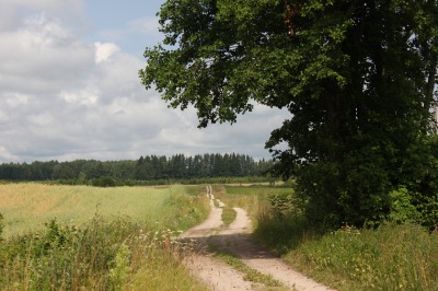 144IMG_1424