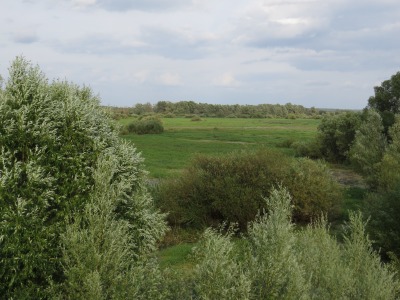 144IMG_2498