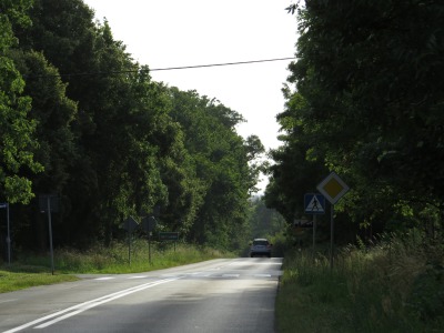 146IMG_2500