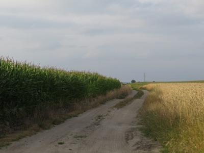 151IMG_2504