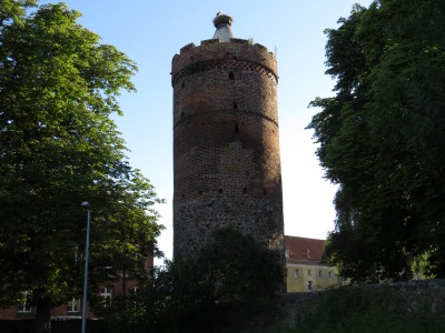 152IMG_2579