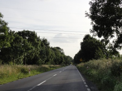 154DSC02818