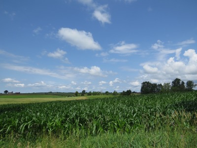 155IMG_1856