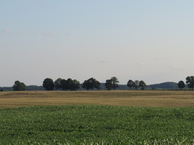 176IMG_2079