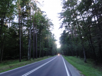 183DSC02785