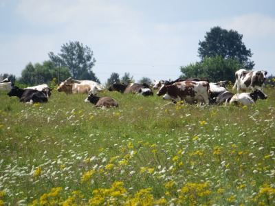 192IMG_1881