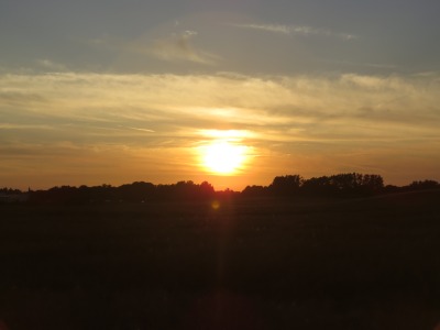 193IMG_2088