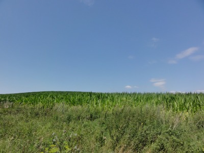 202DSC02773