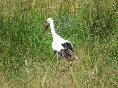 205IMG_1893