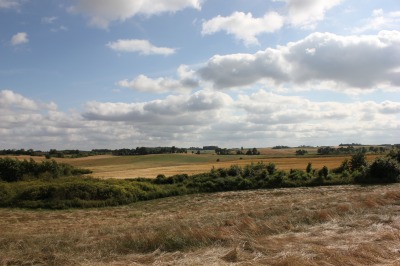 236144IMG_1566