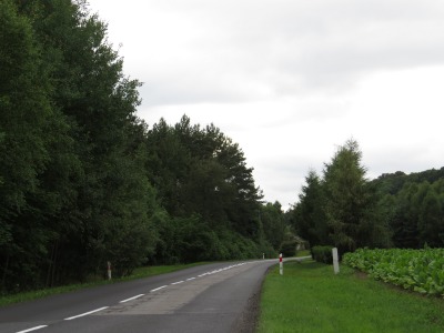 279189IMG_2254