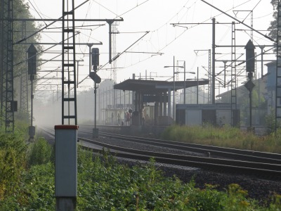 005IMG_2980