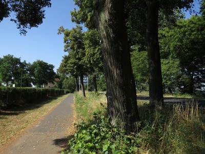 009075IMG_2704