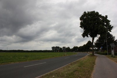 009IMG_2455