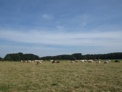 012IMG_3063