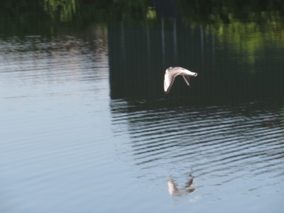 014IMG_3656