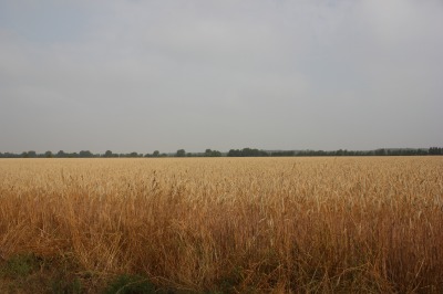 015IMG_2094