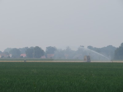021IMG_2870