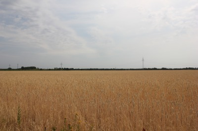 022IMG_2051