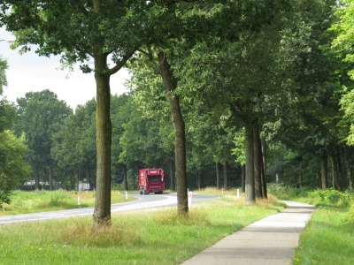 026IMG_3417