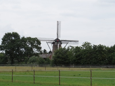 034IMG_3323