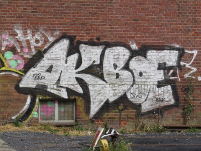 050IMG_3118