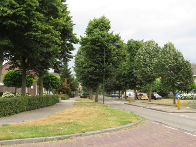 060IMG_3342