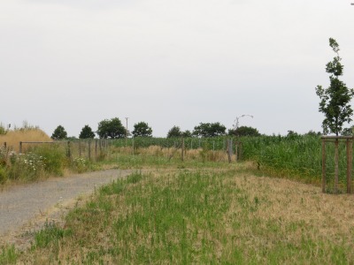064IMG_2827