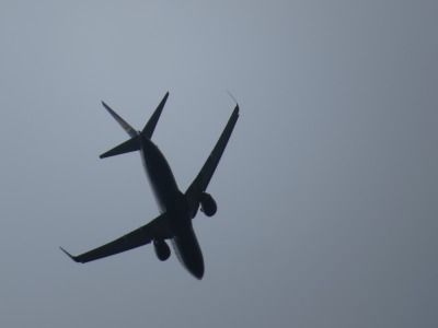 065IMG_3348